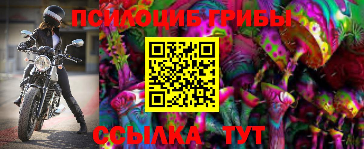 Псилоцибиновые грибы мицелий  Псилоцибиновые грибы Cubensis  Трёхгорный  Вход с VPN 